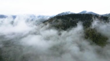 Ukrayna, Karpatlar: Dağlarda sis. Havadan.