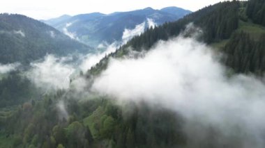 Ukrayna, Karpatlar: Dağlarda sis. Havadan.