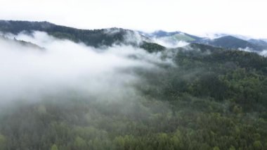 Ukrayna, Karpatlar: Dağlarda sis. Havadan.