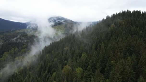 Ukraine, Carpates : brouillard dans les montagnes. Aérien. — Video