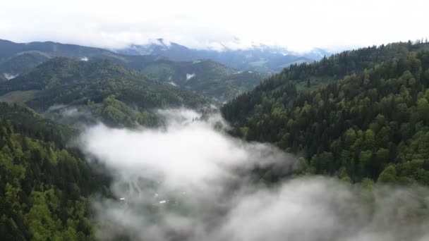 Ucrania, Cárpatos: Niebla en las montañas. Antena . — Vídeos de Stock