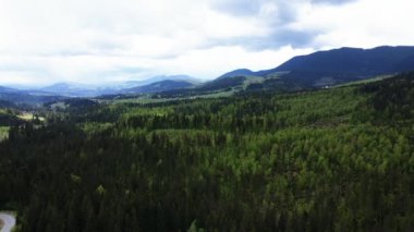 Ukrayna, Karpatlar: Orman manzarası. Hava görünümü.