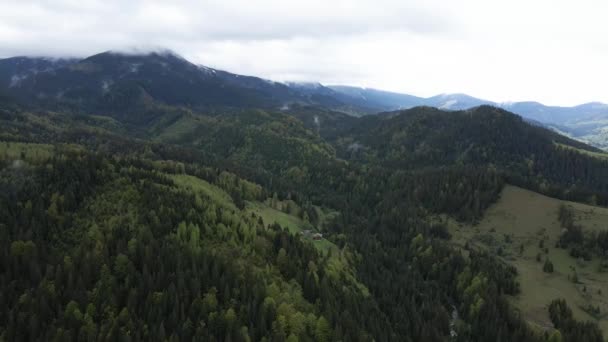 Ukraine, Carpates : paysage forestier. Vue aérienne. — Video