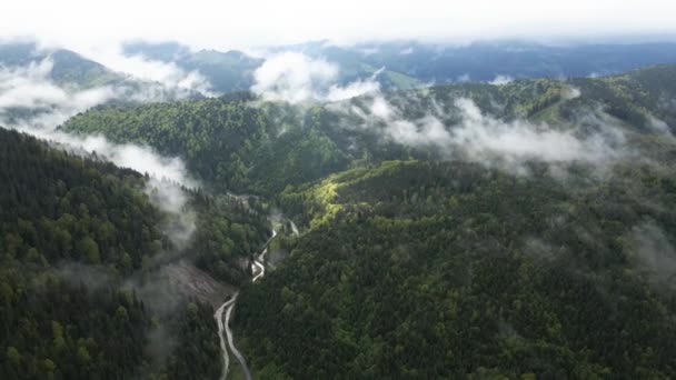 Ucrânia, Cárpatos: Paisagem florestal. Vista aérea . — Vídeo de Stock