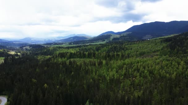 Ukraine, Carpates : paysage forestier. Vue aérienne. — Video