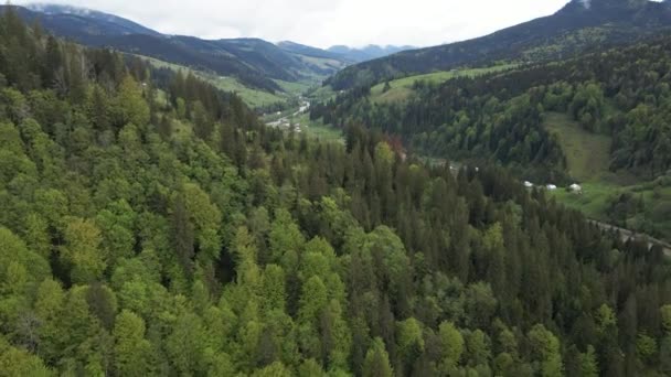 Ukraine, Carpathians: Forest landscape.空中景观. — 图库视频影像