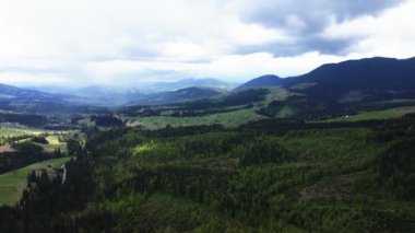 Ukrayna, Karpat Dağları: Güzel dağ ormanları. Havadan