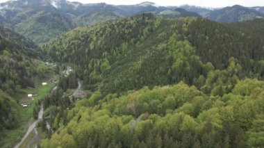 Ukrayna, Karpat Dağları: Güzel dağ ormanları. Havadan