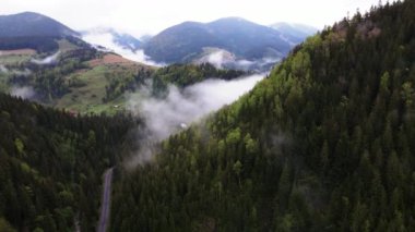 Ukrayna, Karpat Dağları: Güzel dağ ormanları. Havadan