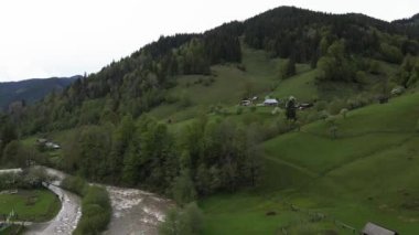 Ukrayna, Karpat Dağları: Güzel dağ ormanları. Havadan