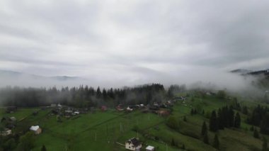 Ukrayna, Karpat Dağları: Güzel dağ ormanları. Havadan