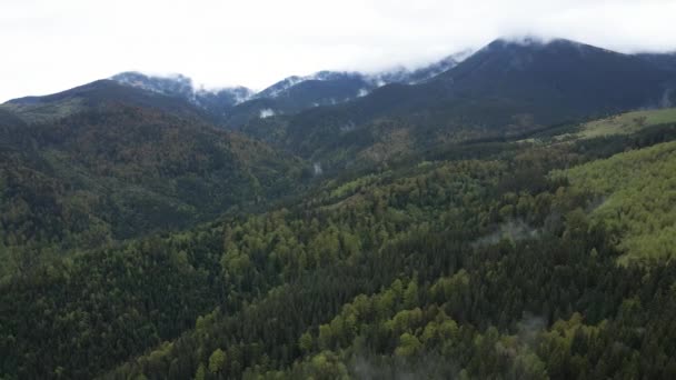 Ucrania, Montañas Cárpatas: Hermoso paisaje forestal de montaña. Antena — Vídeos de Stock