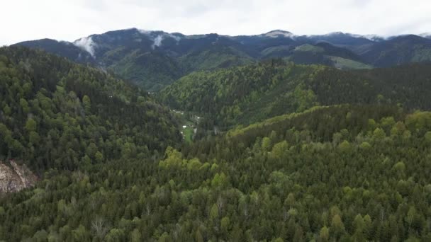 乌克兰喀尔巴阡山脉：美丽的山地森林景观。空中业务 — 图库视频影像