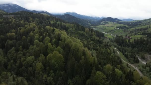 Oekraïne, Karpaten: Prachtig berglandschap. Luchtfoto — Stockvideo