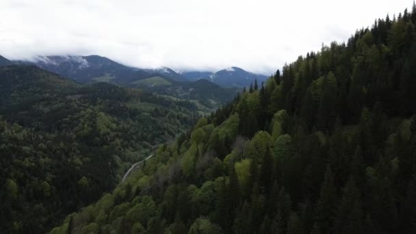 Oekraïne, Karpaten: Prachtig berglandschap. Luchtfoto — Stockvideo