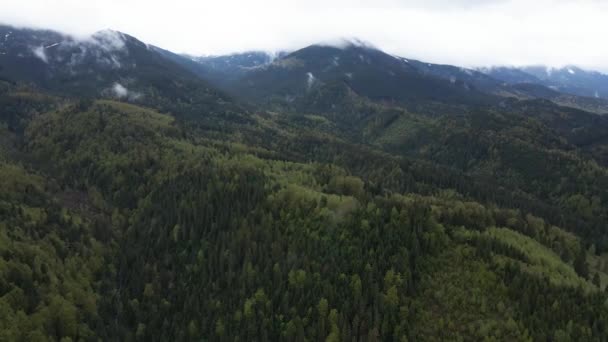 Oekraïne, Karpaten: Prachtig berglandschap. Luchtfoto — Stockvideo