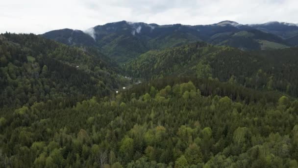 Ucrania, Montañas Cárpatas: Hermoso paisaje forestal de montaña. Antena — Vídeo de stock