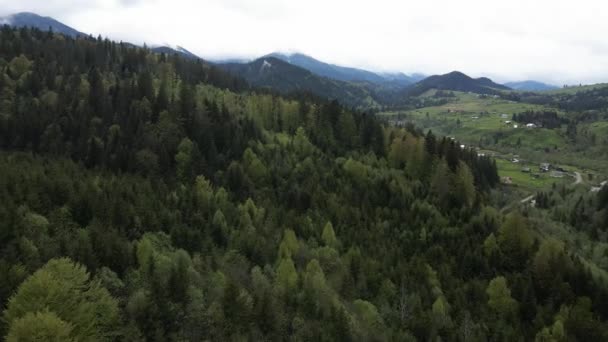 Ukraine, Carpates : Beau paysage de forêt de montagne. Aérien