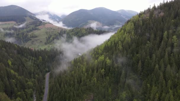 Ukrajina, Karpaty: Krásná horská lesní krajina. Letecký — Stock video