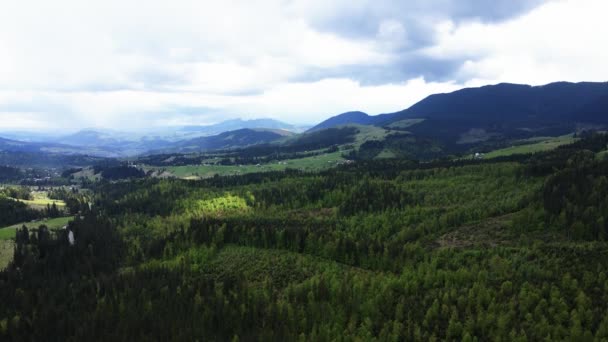 Ucrania, Montañas Cárpatas: Hermoso paisaje forestal de montaña. Antena — Vídeo de stock