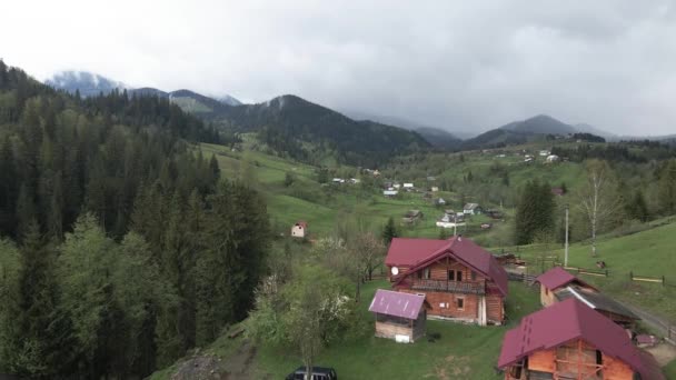 Ukraine, Carpathian Mountains: Beautiful mountain forest landscape. Aerial — Stock Video