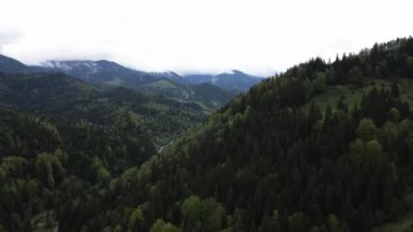 Ukrayna, Karpat Dağları: Güzel dağ ormanları. Havadan