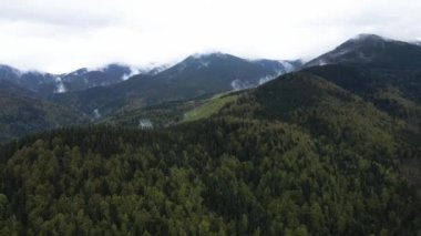 Ukrayna, Karpat Dağları: Güzel dağ ormanları. Havadan