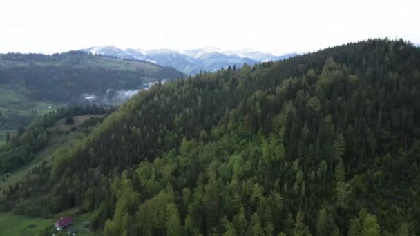 Oekraïne, Karpaten: Prachtig berglandschap. Luchtfoto — Stockvideo