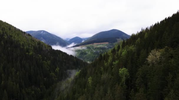 Ukrajina, Karpaty: Krásná horská lesní krajina. Letecký — Stock video
