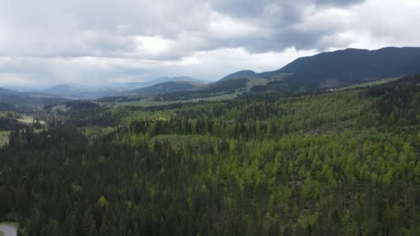Ukraine, Carpates : Beau paysage de forêt de montagne. Aérien — Video