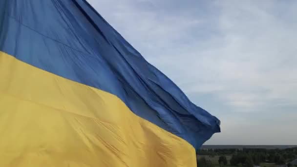 Ukrainas flagga i vinden. Kiev. — Stockvideo