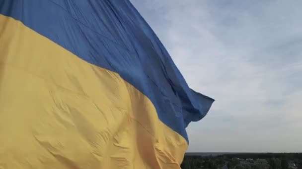 ธงของยูเครนในสายลม คีฟ . — วีดีโอสต็อก