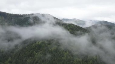 Ukrayna, Karpatlar: Dağlarda sis. Havadan. Gri, düz