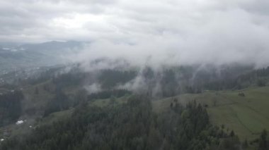 Ukrayna, Karpatlar: Dağlarda sis. Havadan. Gri, düz