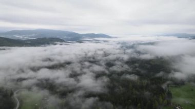 Ukrayna, Karpatlar: Dağlarda sis. Havadan. Gri, düz