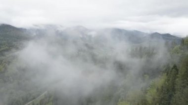Ukrayna, Karpatlar: Dağlarda sis. Havadan. Gri, düz