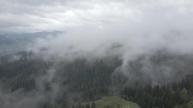 Ukrayna, Karpatlar: Dağlarda sis. Havadan. Gri, düz