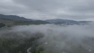 Ukrayna, Karpatlar: Dağlarda sis. Havadan. Gri, düz