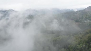 Ukrayna, Karpatlar: Dağlarda sis. Havadan. Gri, düz