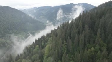 Ukrayna, Karpatlar: Dağlarda sis. Havadan. Gri, düz