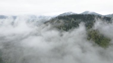 Ukrayna, Karpatlar: Dağlarda sis. Havadan. Gri, düz