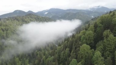 Ukrayna, Karpatlar: Dağlarda sis. Havadan. Gri, düz