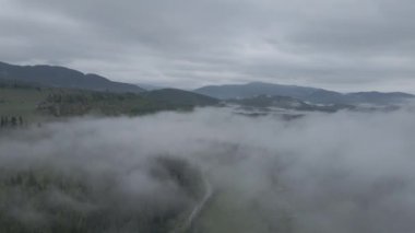 Ukrayna, Karpatlar: Dağlarda sis. Havadan. Gri, düz