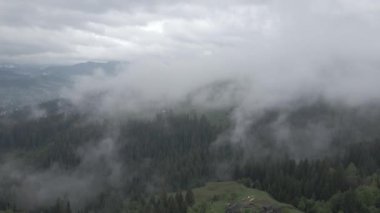 Ukrayna, Karpatlar: Dağlarda sis. Havadan. Gri, düz