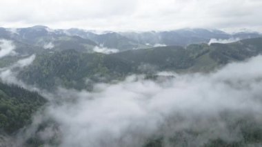 Ukrayna, Karpatlar: Dağlarda sis. Havadan. Gri, düz