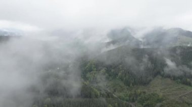 Ukrayna, Karpatlar: Dağlarda sis. Havadan. Gri, düz