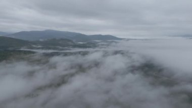 Ukrayna, Karpatlar: Dağlarda sis. Havadan. Gri, düz