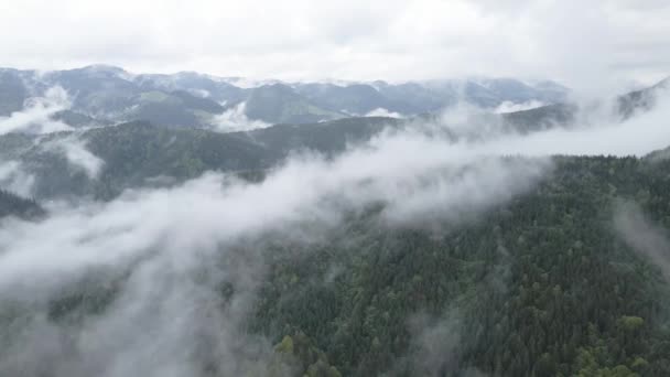 Ukraine, Carpates : brouillard dans les montagnes. Aérien. Gris, plat — Video