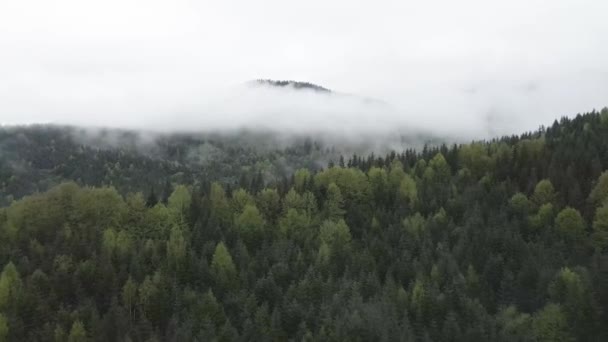 Ucrania, Cárpatos: Niebla en las montañas. Aérea. Gris, plano — Vídeo de stock