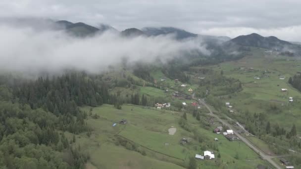 Ukrajina, Karpaty: mlha v horách. Letecký. Šedá, plochá — Stock video